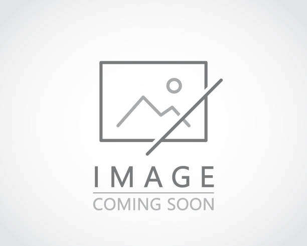 Toro CCR 2000 3000 Carburetor 81-4690 95-7935
